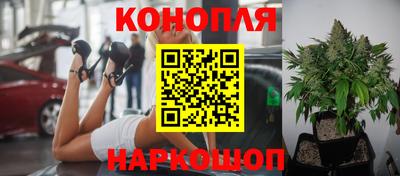 стафф Дубна