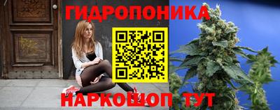 стафф Дубна