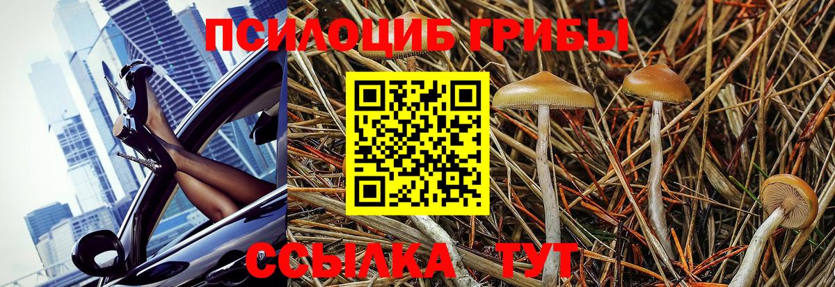 МЕФ кристаллы  Cocaine  Каннабис  Купить наркотики  Надым  ГАШ  Амфетамин   ЭКСТАЗИ  Вход с VPN  Гашиш 